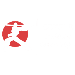 Senshi Phone Casings